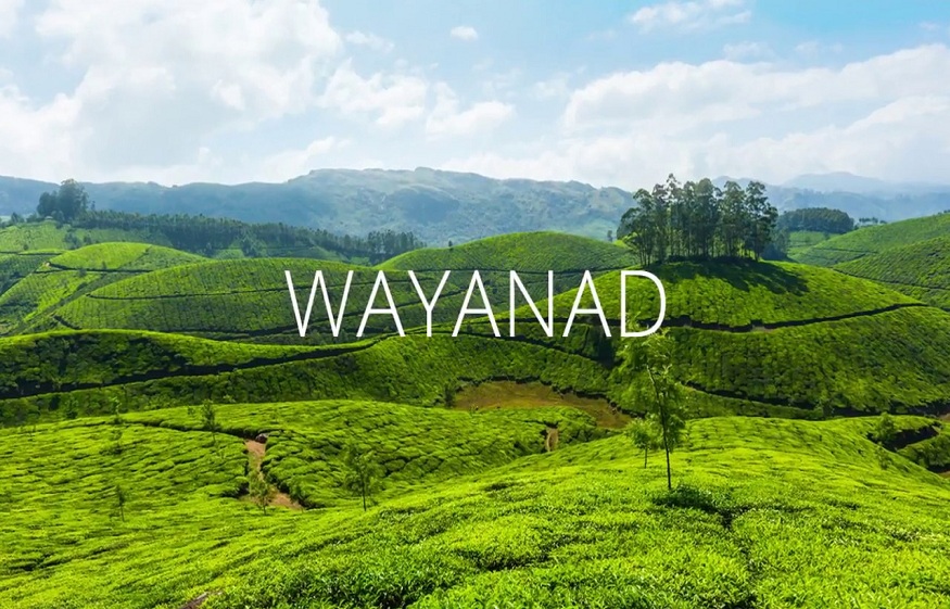 Why you should plan to visit the city of Wayanad in Kerala?