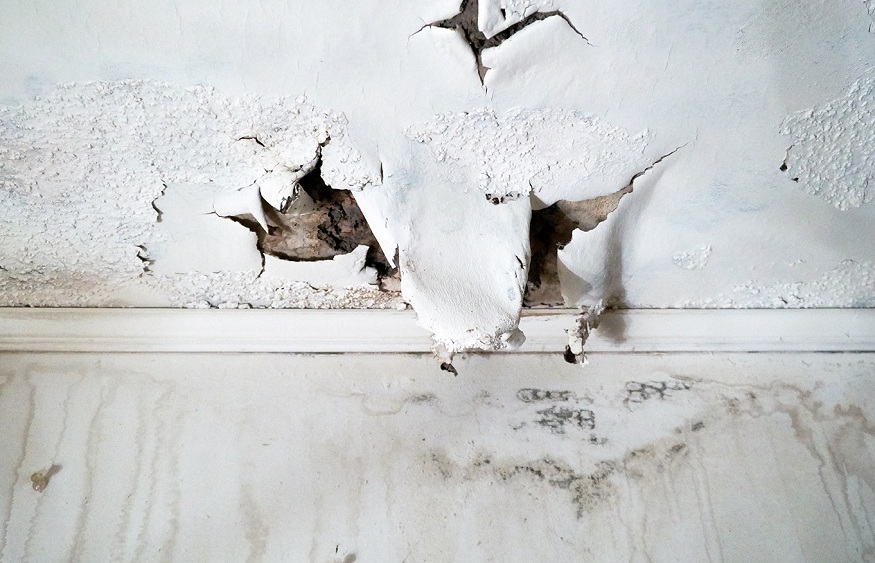 Restoration Services In Memphis: Your Defense Against Water And Mold Damage