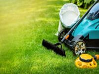 Lawn Fertilization Services