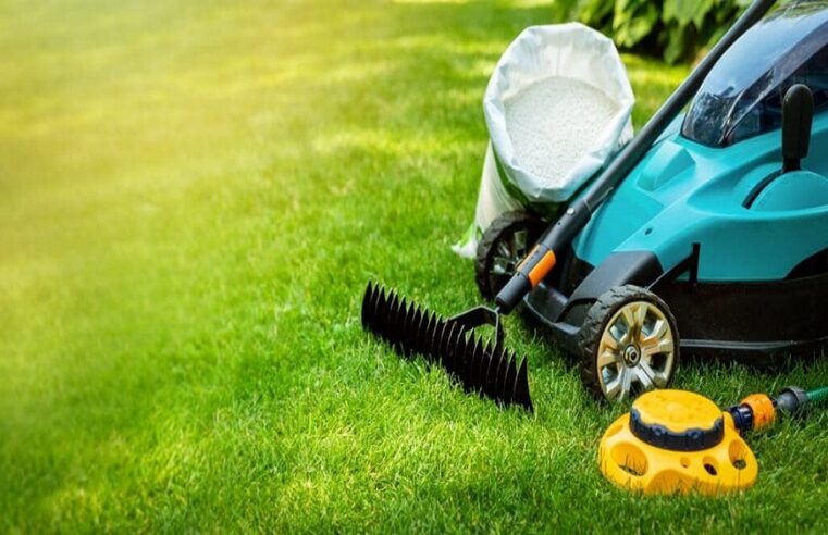 Lawn Fertilization Services